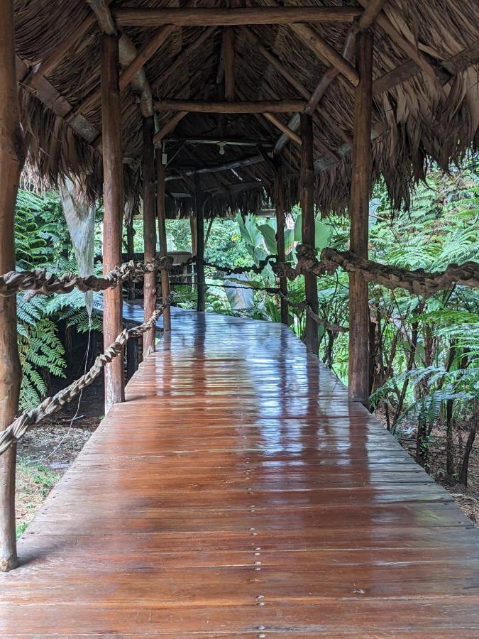 Corcovado Mountain House Hotel Drake Bay Luaran gambar