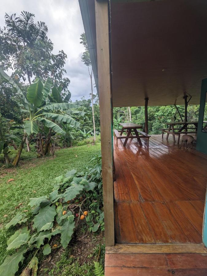 Corcovado Mountain House Hotel Drake Bay Luaran gambar