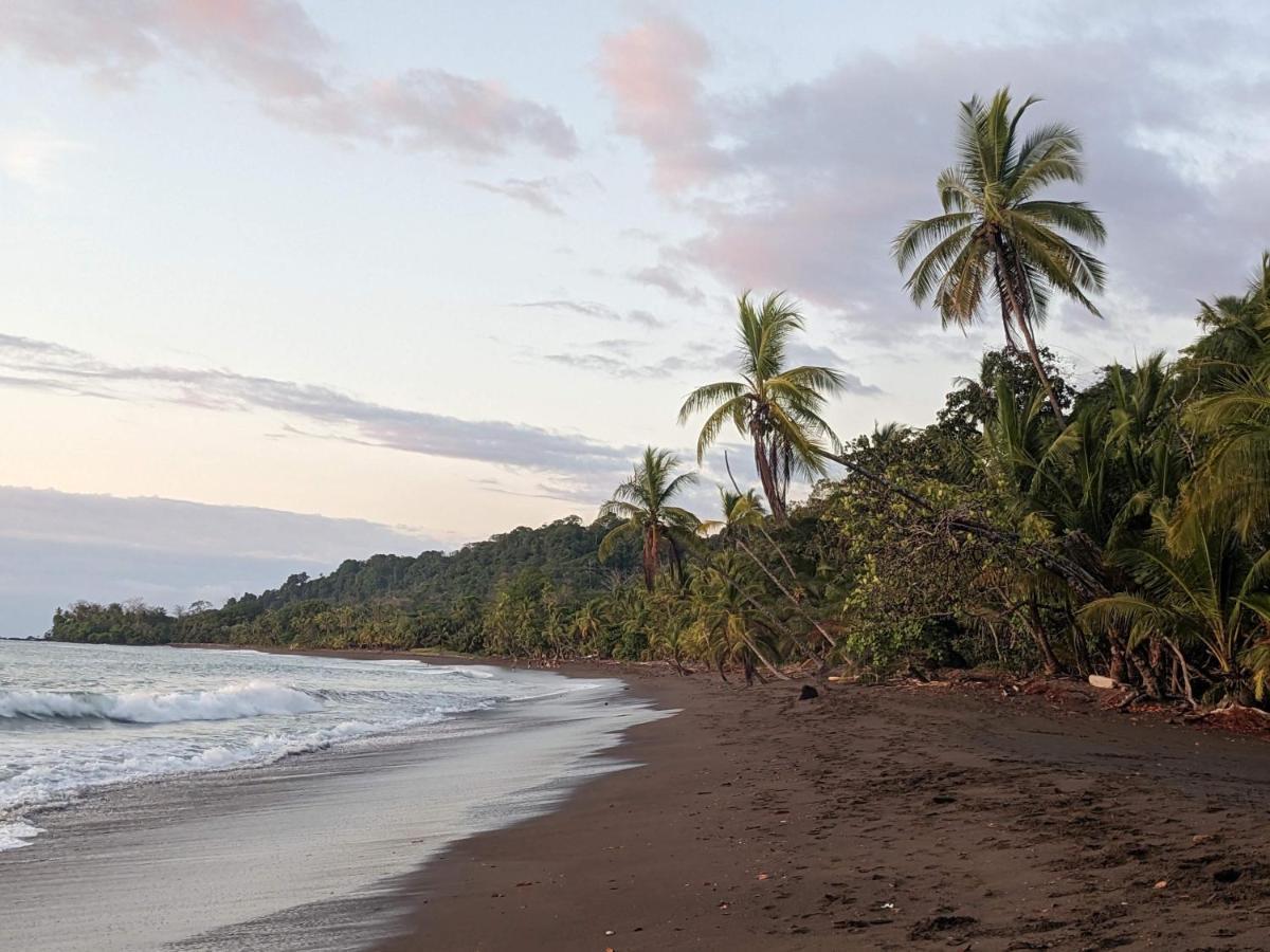 Corcovado Mountain House Hotel Drake Bay Luaran gambar